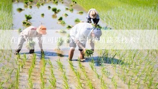 在广东哪里可以学到无土种植蔬菜技术？