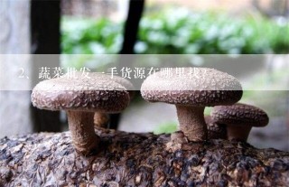 蔬菜批发一手货源在哪里找？