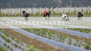 今日北京新发地蔬菜批发价格表