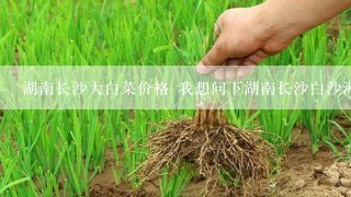 湖南长沙大白菜价格 我想问下湖南长沙白沙洲蔬菜市场大白菜的近期价格，和需要的品种