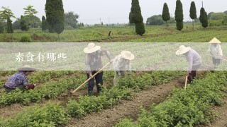 素食有哪些