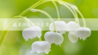 蔬菜沙拉用什么菜