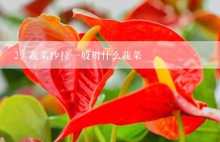 蔬菜沙拉一般用什么蔬菜