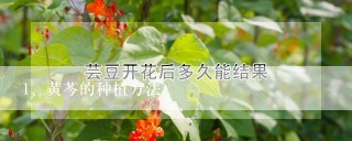 黄芩的种植方法