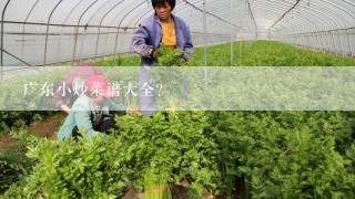 广东小炒菜谱大全？