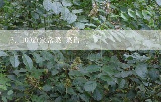 100道家常菜 菜谱