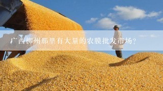 广西柳州那里有大量的农膜批发市场？