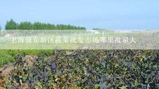 上海浦东新区蔬菜批发市场哪里批量大