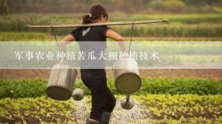 军事农业种植苦瓜大棚种植技术