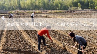 建蔬菜大棚现代化的。一个棚需要多少钱。建多少米的