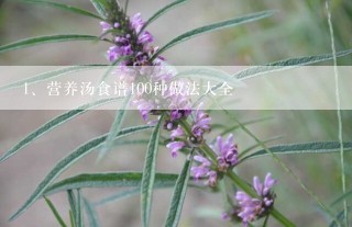 营养汤食谱100种做法大全