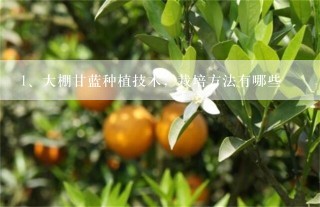 大棚甘蓝种植技术，栽培方法有哪些