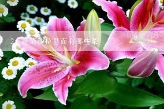 蔬菜沙拉里面有哪些菜