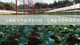 大棚蔬菜种植前景如何，大棚蔬菜种植前景分析