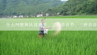 什么叫整体认读音节、二拼音音节、三拼音音节?