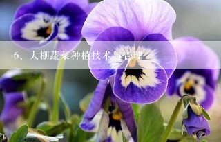 大棚蔬菜种植技术与管理