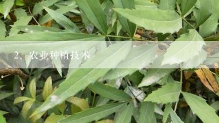 农业种植技术