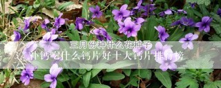 补钙吃什么钙片好十大钙片排行榜