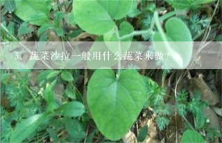 蔬菜沙拉一般用什么蔬菜来做？