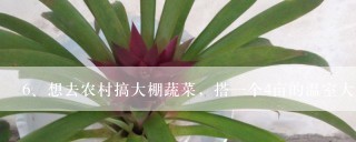 想去农村搞大棚蔬菜，搭一个4亩的温室大棚大概要多