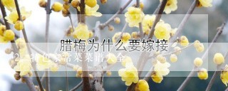 特色家常菜菜谱大全