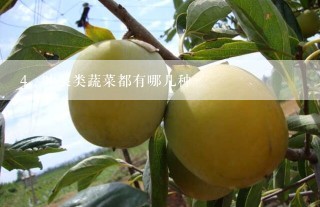 叶菜类蔬菜都有哪几种