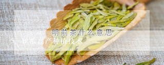 丝瓜高产种植技术