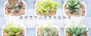 盆栽平果怎样种植