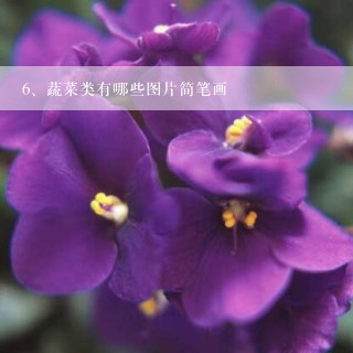 蔬菜类有哪些图片简笔画