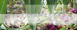 武汉周黑鸭加盟费多少