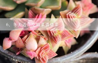 冬天适合吃的菜谱烧菜