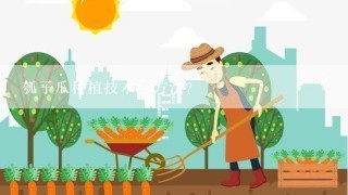 瓠子瓜种植技术与方法？