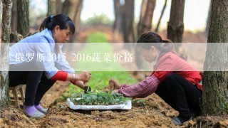 俄罗斯2015 2016蔬菜价格