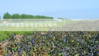 广州蔬菜批发市场有哪些