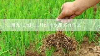 江西九江地区三月份时令蔬菜有什么
