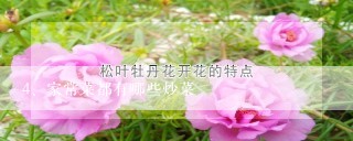 家常菜都有哪些炒菜