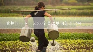 我想问一下一天500个英语单词怎么记啊