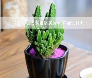 不知火(芸香科柑橘属植物)详细资料大全