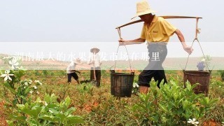 湖南最大的水果批发市场在那里