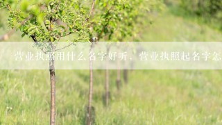 营业执照用什么名字好听，营业执照起名字怎么起？