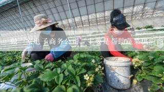 做一家电子商务公司，主要是帮助蔬菜供应商和饭店搭界一个平台，取个什么名字好呢！