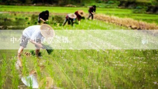 中小学生食堂菜谱