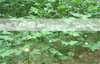 芡实的种植技术方法