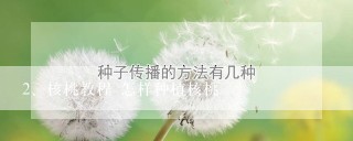 核桃教程 怎样种植核桃