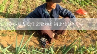 5岁小朋友吃什么食物补钙比较好？