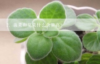 菠菜和苋菜什么含量高?