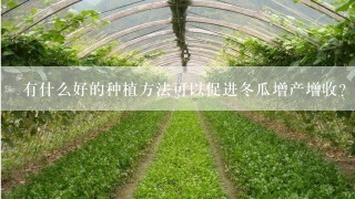 有什么好的种植方法可以促进冬瓜增产增收？