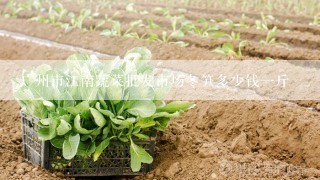 广州市江南蔬菜批发市场冬笋多少钱一斤