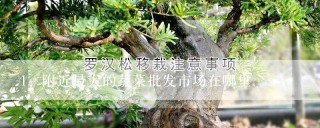 附近最大的蔬菜批发市场在哪里