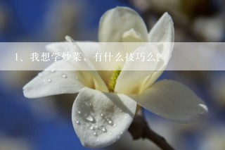 我想学炒菜，有什么技巧么？